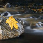 Optimisation et négociation pour une meilleure santé financière: Gestion des stocks et trésorerie