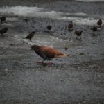 Optimiser l’assortiment : 80/20, sélections du moment et suppression des doublons