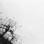 Aversion à la perte : mettre en avant les risques pour le client