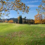 Uniformité et transitions musicales : enchaînez les titres avec fondus et niveaux normalisés