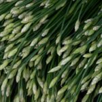 Confusion des promotions : simplifier pour mieux réussir