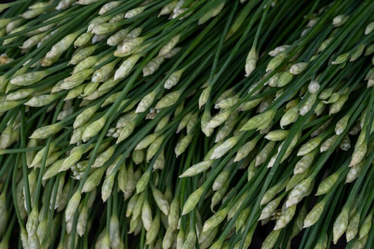 Confusion des promotions : simplifier pour mieux réussir