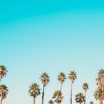 Trouver l’identité musicale parfaite pour votre marque