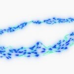 Effet halo : une pièce premium en tête de rayon