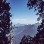 Comment le cadrage économique peut changer la perception de la valeur