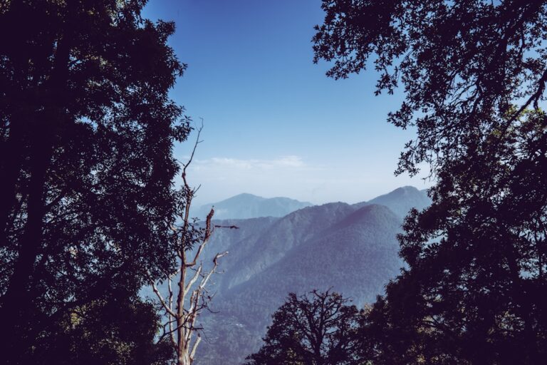 Comment le cadrage économique peut changer la perception de la valeur