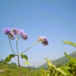 Beauté naturelle & bio : certifications, vrac hygiénique, démonstrations texture/odeur