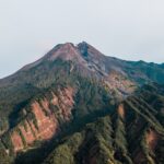 Gestion du personnel : optimiser les ressources et renforts pour une meilleure efficacité.