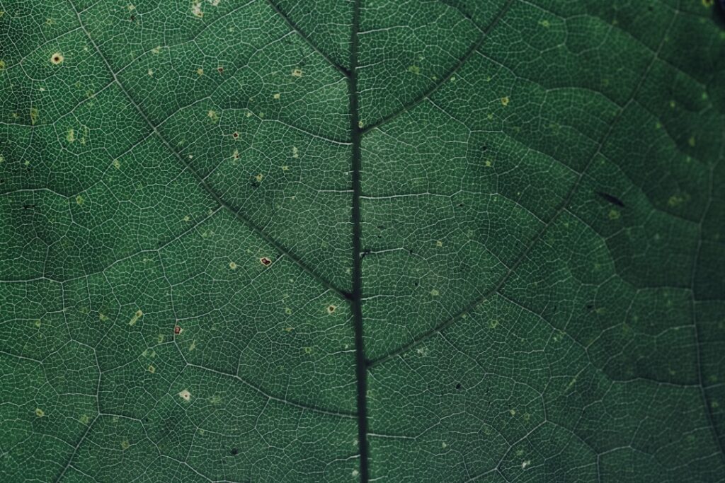 Optimiser la sortie du réseau et la revente : valoriser le fonds de commerce et gérer la transition