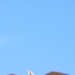 Transformation d&rsquo;attachement en achat avec un kit prêt à l’emploi