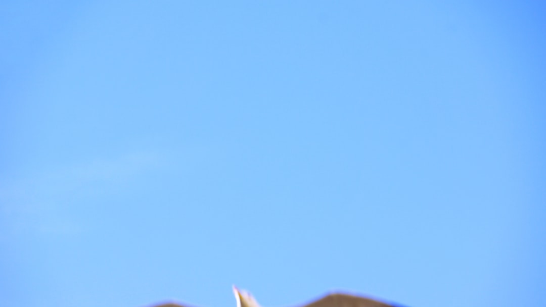 Photo "Kit prêt à lemploi"