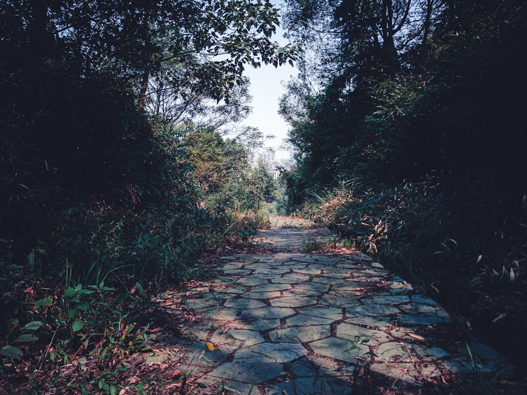 Photo conversion paths