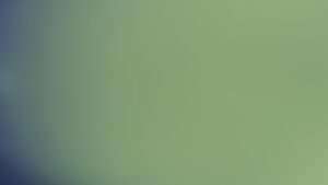 Offrir un petit extra pertinent : le biais de gratuité