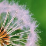 Prévention des allergies : bases hypoallergéniques et espaces neutres