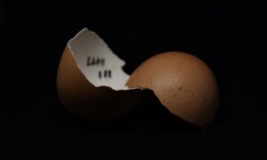 Merchandising des nouveautés : créer l&rsquo;attente avec des micro-lots hebdomadaires