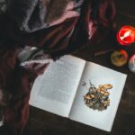 Changer les parfums selon les saisons : de la fraîcheur estivale à la chaleur hivernale