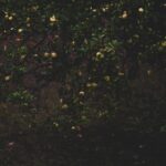 Ralentir le tempo en zones découverte pour allonger le parcours