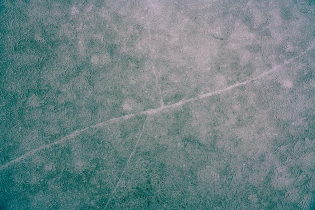 Vitrines basses lisibles, recettes 15 min et signalétique de portions : les atouts des surgelés
