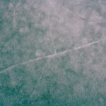 Vitrines basses lisibles, recettes 15 min et signalétique de portions : les atouts des surgelés