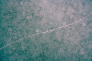 Vitrines basses lisibles, recettes 15 min et signalétique de portions : les atouts des surgelés