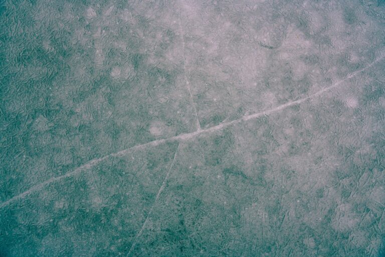 Vitrines basses lisibles, recettes 15 min et signalétique de portions : les atouts des surgelés