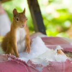 Améliorer la communication en équipe grâce à l&rsquo;écoute active