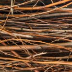 Regrouper visuellement les offres mieux ensemble