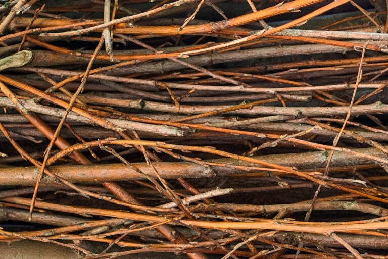 Regrouper visuellement les offres mieux ensemble