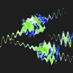 Harmonie sensorielle : raconter une histoire avec musique, odeurs, couleurs et textures.