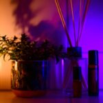 Créer une ambiance sensorielle immersive pour une expérience client inoubliable