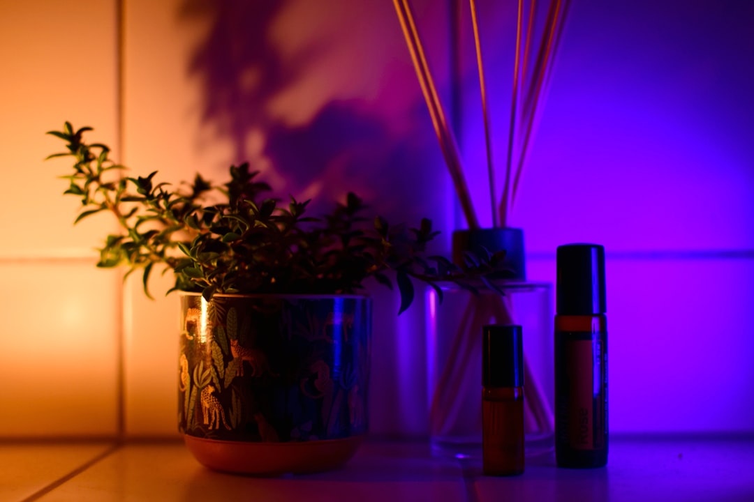 Photo Ambiance sensorielle