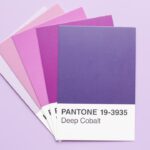 Échantillons mal rangés : vols, boîtes et contrôle