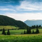 Optimisation des ventes avec des planogrammes pilotés par données
