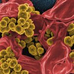 Éviter la contamination visuelle: l&rsquo;éloignement des produits premium des visuels promo agressifs