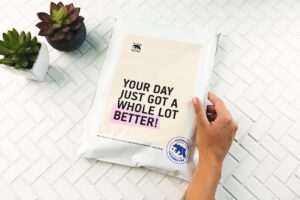 Article: Post-achat soigné : conseils d’entretien, garantie et aide en cas de problème (Post-achat soigné: conseils, garantie, aide)