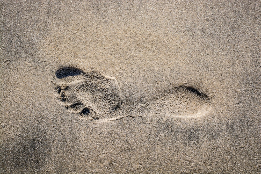 Photo carbon footprint measurement